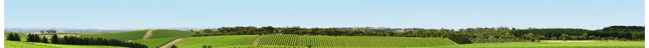Foire aux Vins Printemps