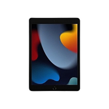 Tablette tactile 10,2" Apple iPad 9ème génération (2021) 256 Go Gris Sidéral