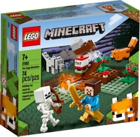 lego minecraft construction