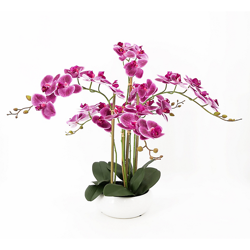 Orchidée artificielle violet foncé coupe céramique - H55cm