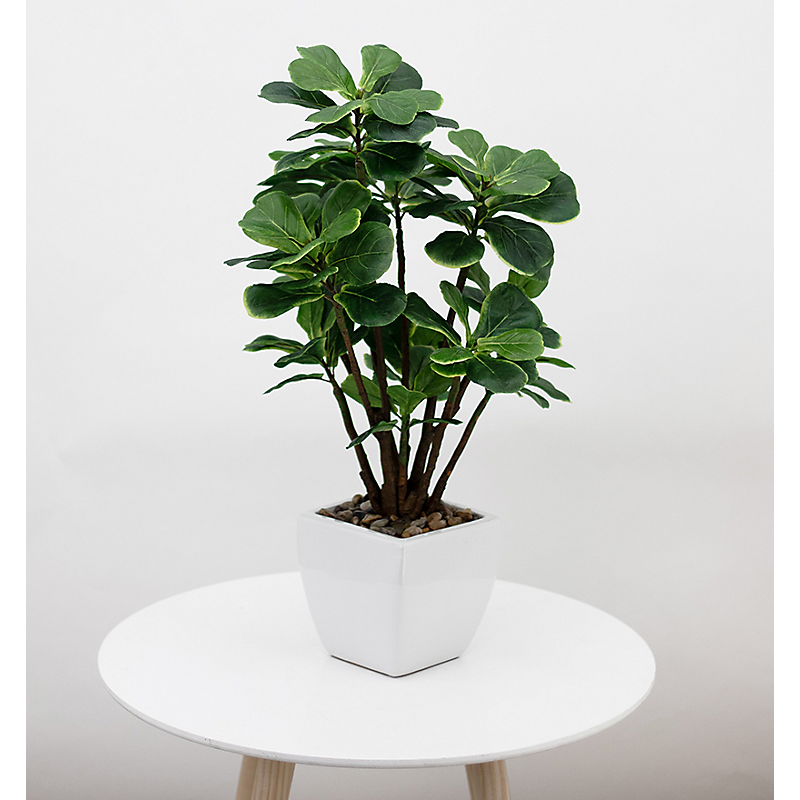 Ficus lyrata artificiel en pot céramique blanc - H54cm