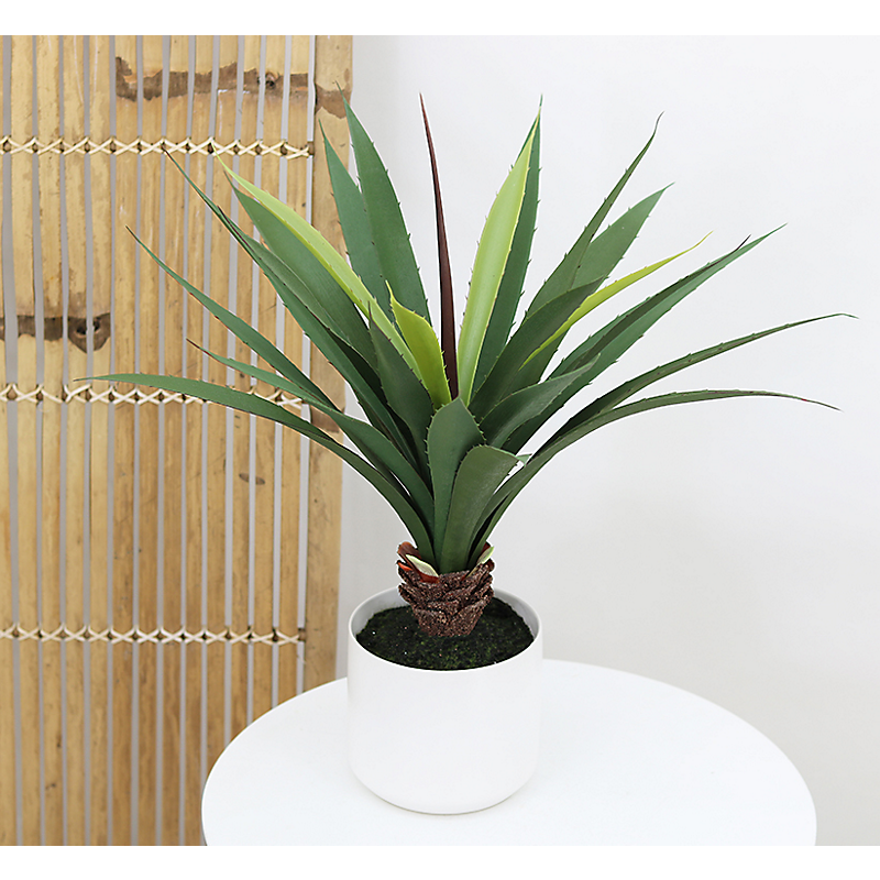Aloe artificielle pot céramique blanc - H50cm