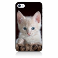 Coque Pour Iphone 5c Bebe Chat Tout Mignon Chaton Yeux Bleus Coque Noire Tpu Souple Au Meilleur Prix E Leclerc