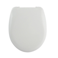 Combiné WC Acier Blanc Avec Brosse Et Porte-Rouleau Intégré - Design Moderne