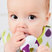 Grignoteur Bebe Fresh Food Au Meilleur Prix E Leclerc