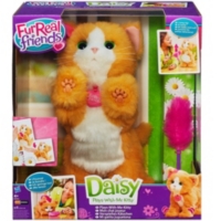 Daisy Mon Chat Joueur Au Meilleur Prix E Leclerc