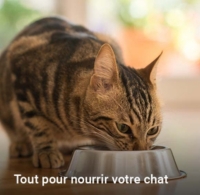 Animalerie Au Meilleur Prix E Leclerc