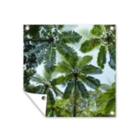 MuchoWow - Poster exterieur Neige - Ciel - Forêt - Hiver Decoration