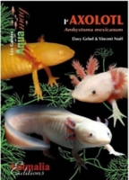 L Axolotl Ambystoma Mexicanum Broche Au Meilleur Prix E Leclerc