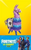 Fortnite Le Carnet Officiel 9782017076957 Espace Culturel E