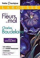 Les Fleurs Du Mal Espace Culturel Eleclerc - 