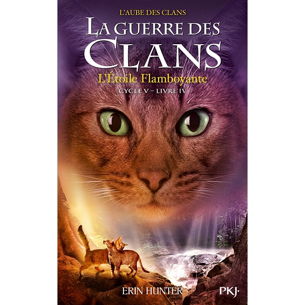 La Guerre Des Clans Cycle 5 L Aube Des Clans Volume 4 L Etoile Flamboyante Erin Hunter Espace Culturel E Leclerc