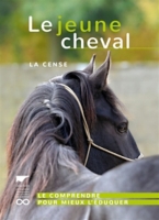 barbie et son cheval de reve leclerc