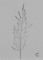 Carnet Poeme Citation De Mikael Hautchamp Espace Culturel E Leclerc