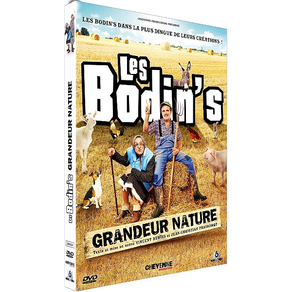 Les Bodins Film Les Bodin S Grandeur Nature Streaming Vf 2020