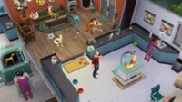 Sims 4 Pack Dextension Chiens Et Chats Xboxone
