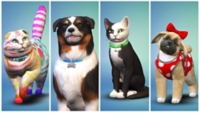 Sims 4 Pack Dextension Chiens Et Chats Ps4