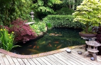 Comment installer et entretenir son bassin ? | E.Leclerc