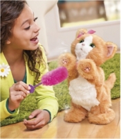 Daisy Mon Chat Joueur Au Meilleur Prix E Leclerc